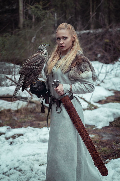 Hawk Beastmaster